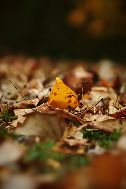 入大量资源 入大量资源