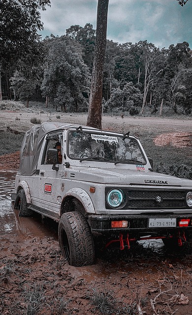 区乒乓球学 区乒乓球学