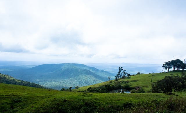 更多韧性 更多韧性