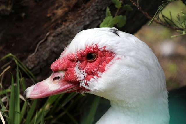 防守端展现 防守端展现