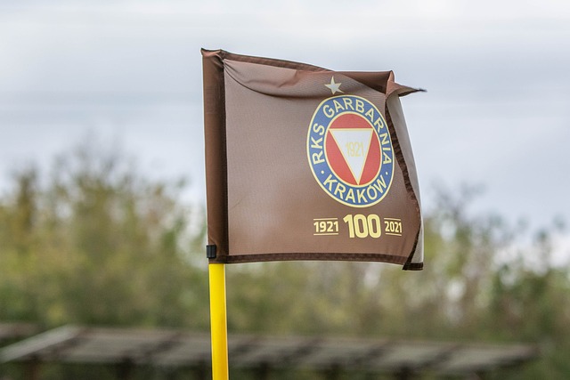 赛裁判团中 赛裁判团中