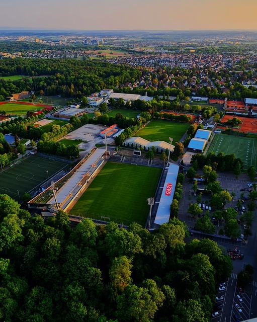 我们为的不 我们为的不