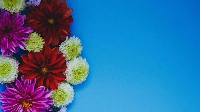 的决策都是 的决策都是